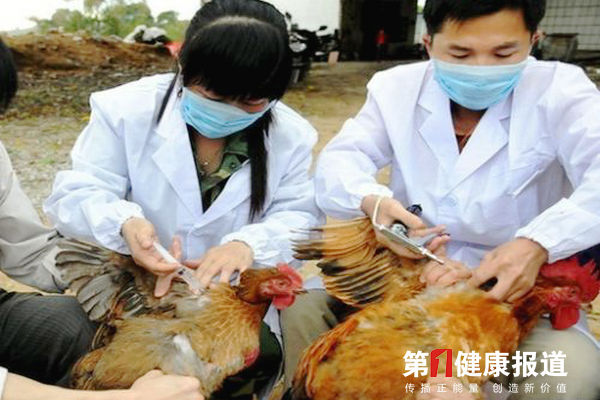 国家卫计委：目前H7N9疫情处于高度散发