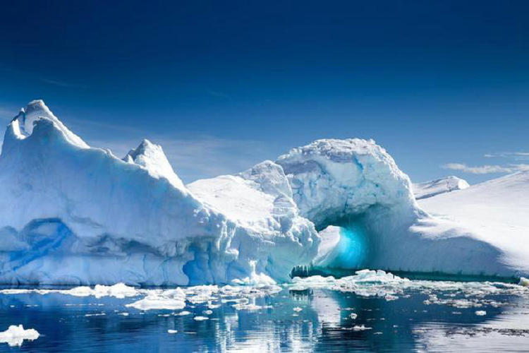 章鱼DNA揭示南极冰盖或将崩溃