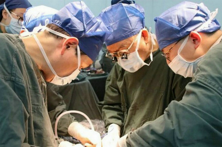 郑树森院士团队成功为78岁患者搏得“胰
