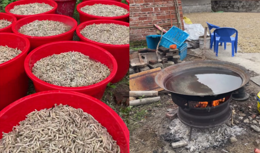 1741146691650783.jpg 未标题-1.jpg