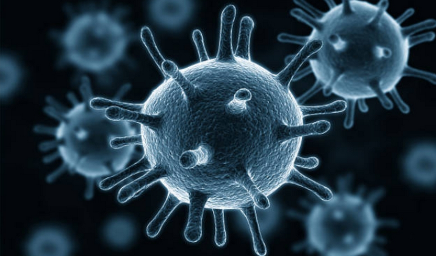 世卫组织等机构警告全球免疫工作面临日益严重威胁