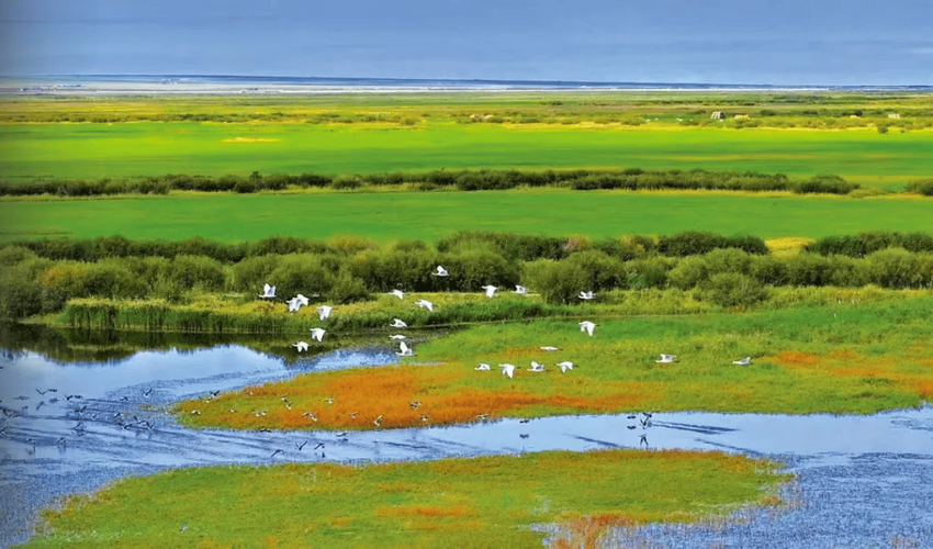 生态环境法典草案首次审议
