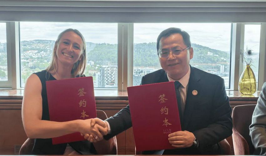 NYO3七载深耕进博谱写全球化合作新篇