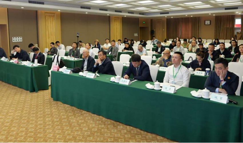 白求恩精神引领分级诊疗创新发展