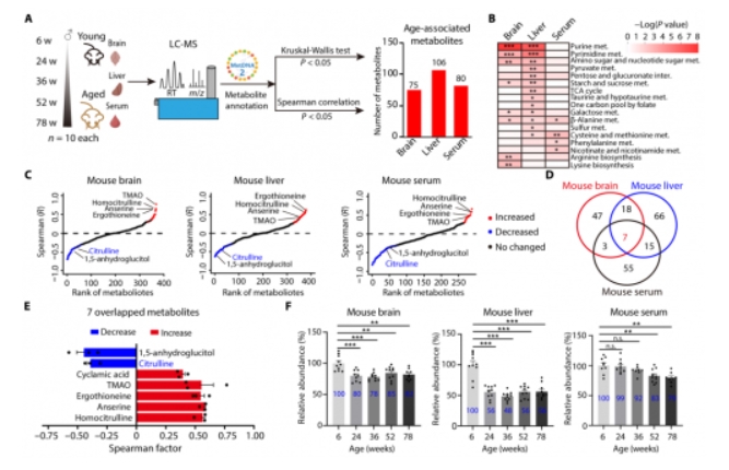 1747995446426252.png 微信截图_20250523181530.png