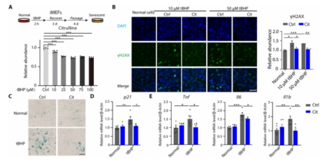 1747995498575498.png 微信截图_20250523181549.png