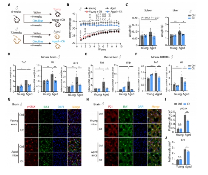 1747995530374667.png 微信截图_20250523181602.png