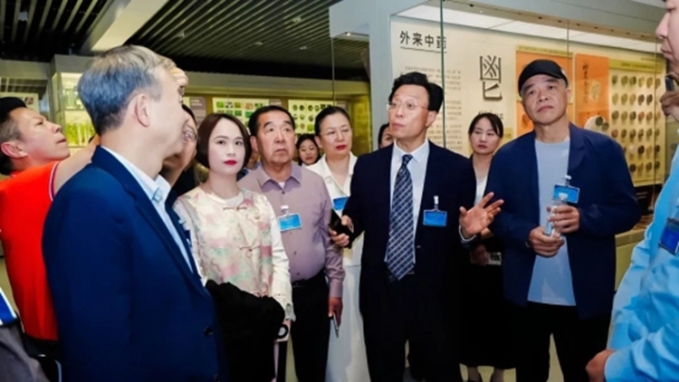 1748250503795205.jpg 8.jpg