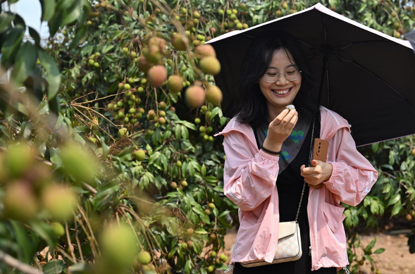 1752122120758519.png 20250710e9e8e6901be04292afc0f53b6b0b2bbb_195513db94e64319b00fce5838d2362f.png