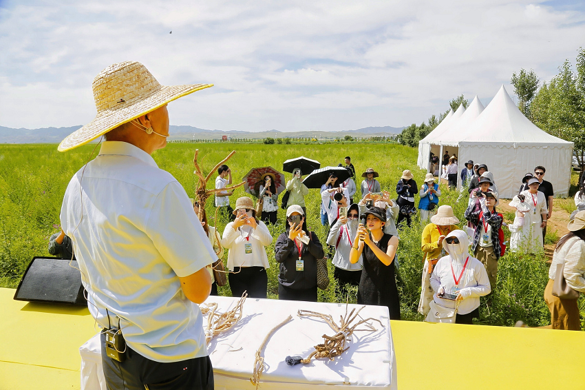 1753411989623676.png 6388903309470480391505354.png