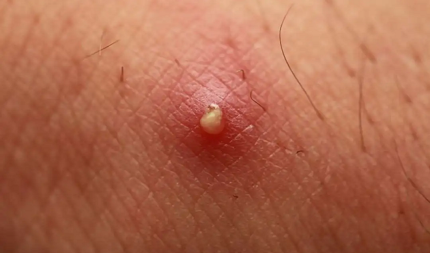 1758770226920992.png 微信图片_2025-09-25_105711_776.png