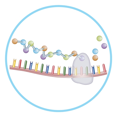 1758853551885353.jpg 5c373f1d-e3a2-4097-9ae6-ffa8d500b2ec.jpg