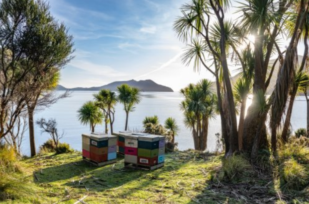 1761878446825790.png wechat_2025-10-31_103740_552.png