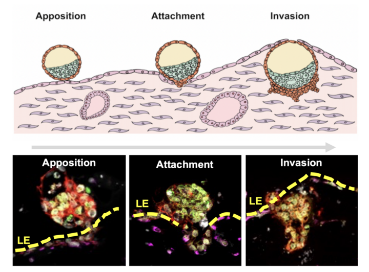 1766543645591565.png 2025122396b22fb33da64dca8ff4b63b87e4632b_XxjdzbC000112_20251223_CBMFN0A003.png